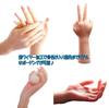 Hand Model, Both Hands, Mannequin, Realistic Model, Torso, Female, Silicone, Built-in Skeleton, Nails, Drawing Model