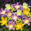 Waterproof Solar Garden Lights Butterfly Design Ground-Mounted LED Landscape Lamp Flower Decor Outdoor Garden Lights