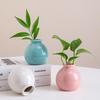 Small Ceramic Desktop Hydroponic Vase for Pothos - Simple Decorative Ornament for Office