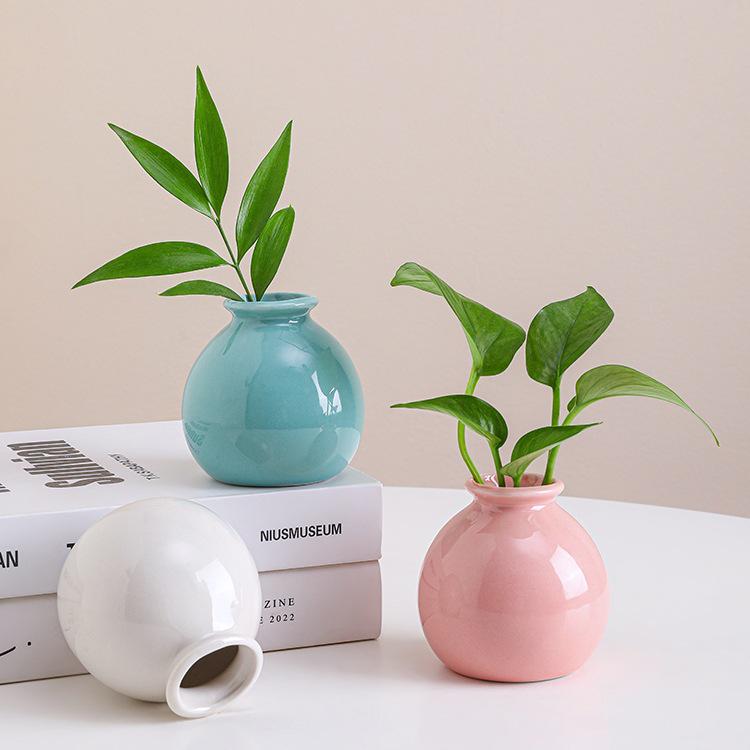 Small Ceramic Desktop Hydroponic Vase for Pothos - Simple Decorative Ornament for Office