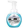 Walch Foaming Hand Soap