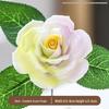 Handcrafted Ceramic Flowers, Preserved & Artificial Bouquets, Home Décor, Display Items, Travel Souvenirs, and Cultural Gifts.
