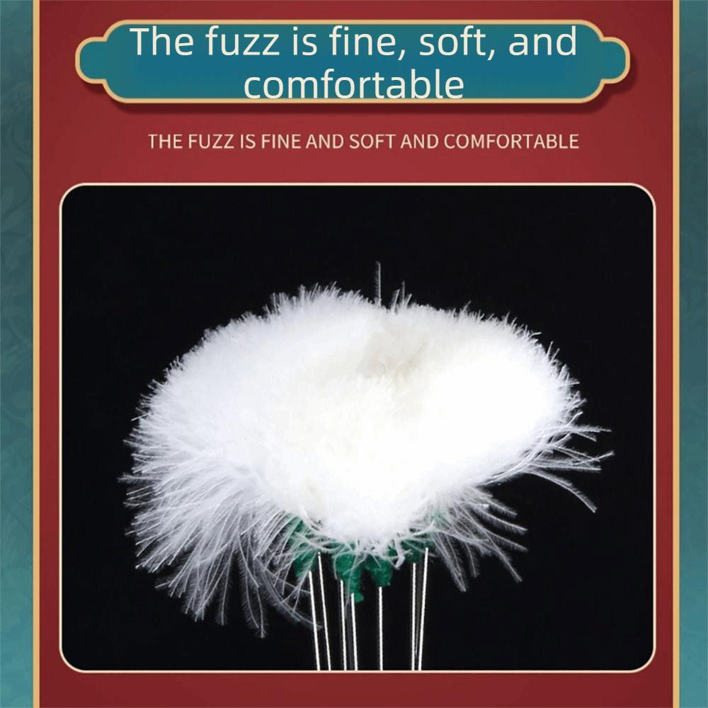 6/8/10PCS Stainless Steel Goose Feather Earpick Spoon Cleaner Wax Cleaner Tool  Ear Cleaning