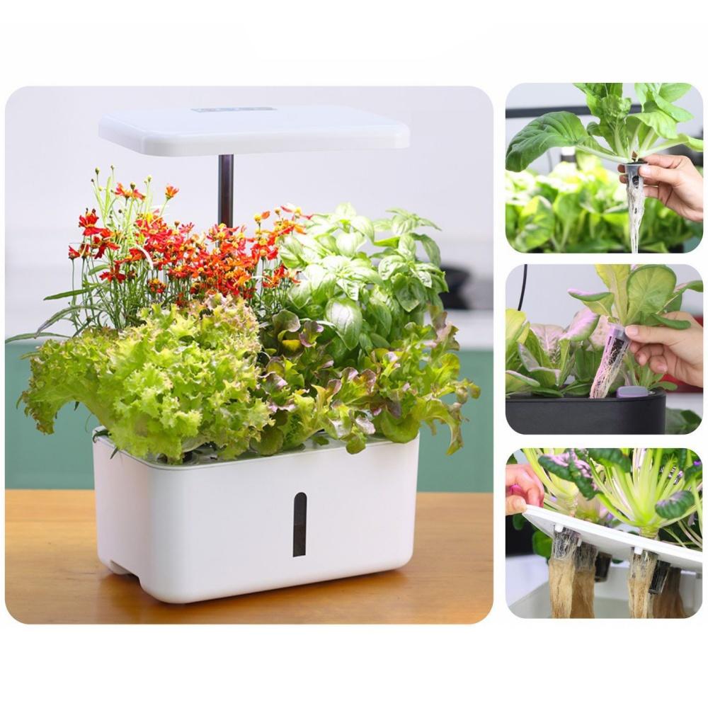 50Pcs Hydroponics Grow Sponges Rooting Sponges Seed Pods Starter Plugs