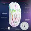 Ergonomic Design RGB Lighting Mouse Rechargeable 2.4G Wireless Mouse Gaming Mouse  PC