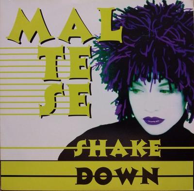 12inch Record MALTESE - Shake Down TRD1437 Time Records 1994 Italy Dance & Electronica Used