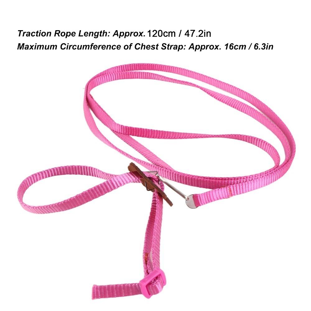 Adjustable Pet Bird Harness Nylon Material Parrot Leash Bird Harness Leash Outdoor Flying