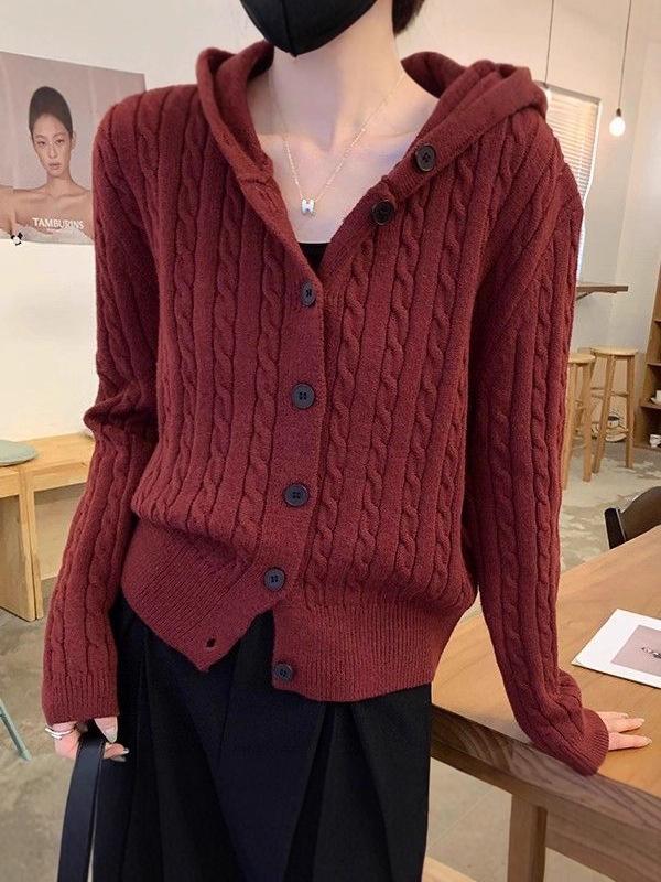 Chic Korean Cable Knit Hooded Cardigan - Women's Versatile Long Sleeve Sweater Coat for Autumn & Winter