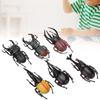 6pcs Simulation Beetle Insect Model Halloween Trick Props NonToxic PVC Insect Toy(Black )