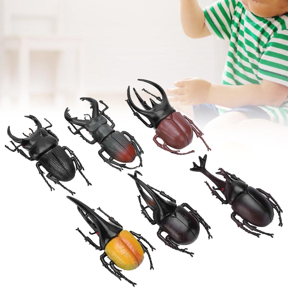 6pcs Simulation Beetle Insect Model Halloween Trick Props NonToxic PVC Insect Toy(Black )