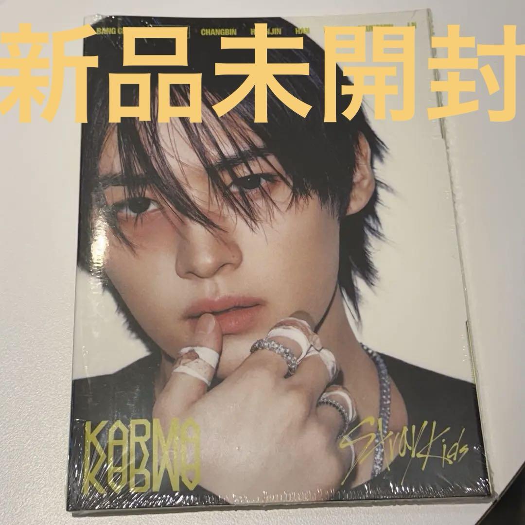 

[USED] Straykids karma accordion Reno