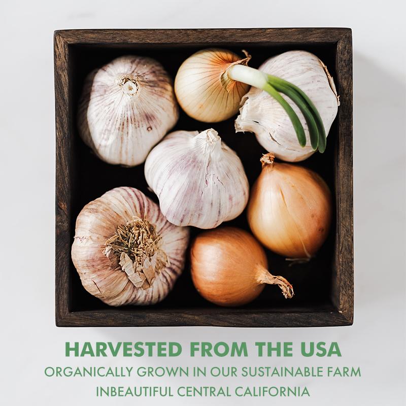 Tasteless Garlic Extract, All-natural, Immune Health Supplement, Lowers Cholesterol, Supports the Immune System