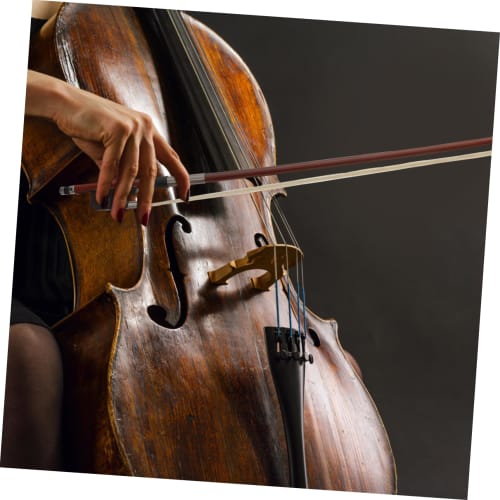 ULDIGI Cello Bow, Tororoche, Musical Bow, Tuner, Cello Stand, Cecilio, Cello Accessories, Selection Subjects, Horsetail Hair, Child, Guitar