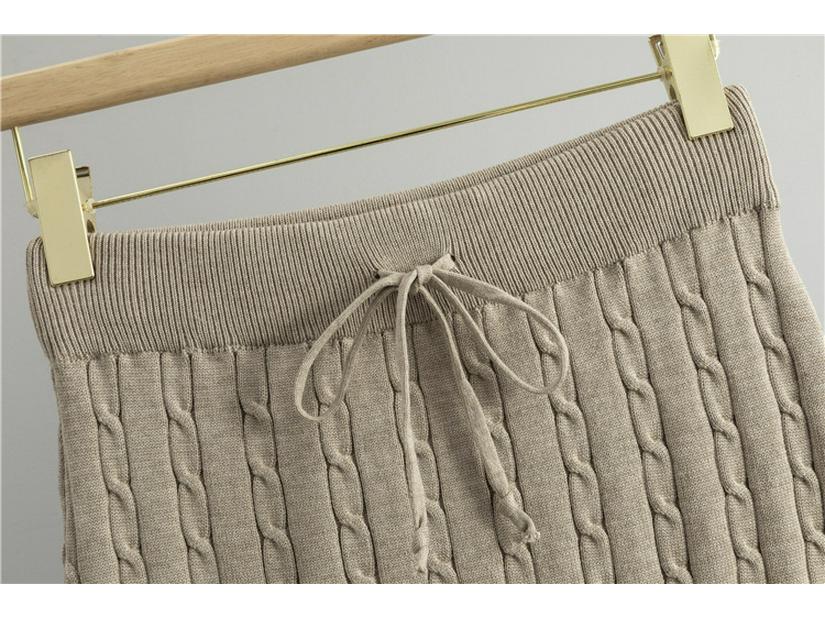 Korean-Style Two-Piece Set: Polo Collar Cable Knit Top & Sweater Skirt for Spring/Autumn