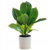 Decorațiuni pentru casă – Flori decorative şi coroane de flori