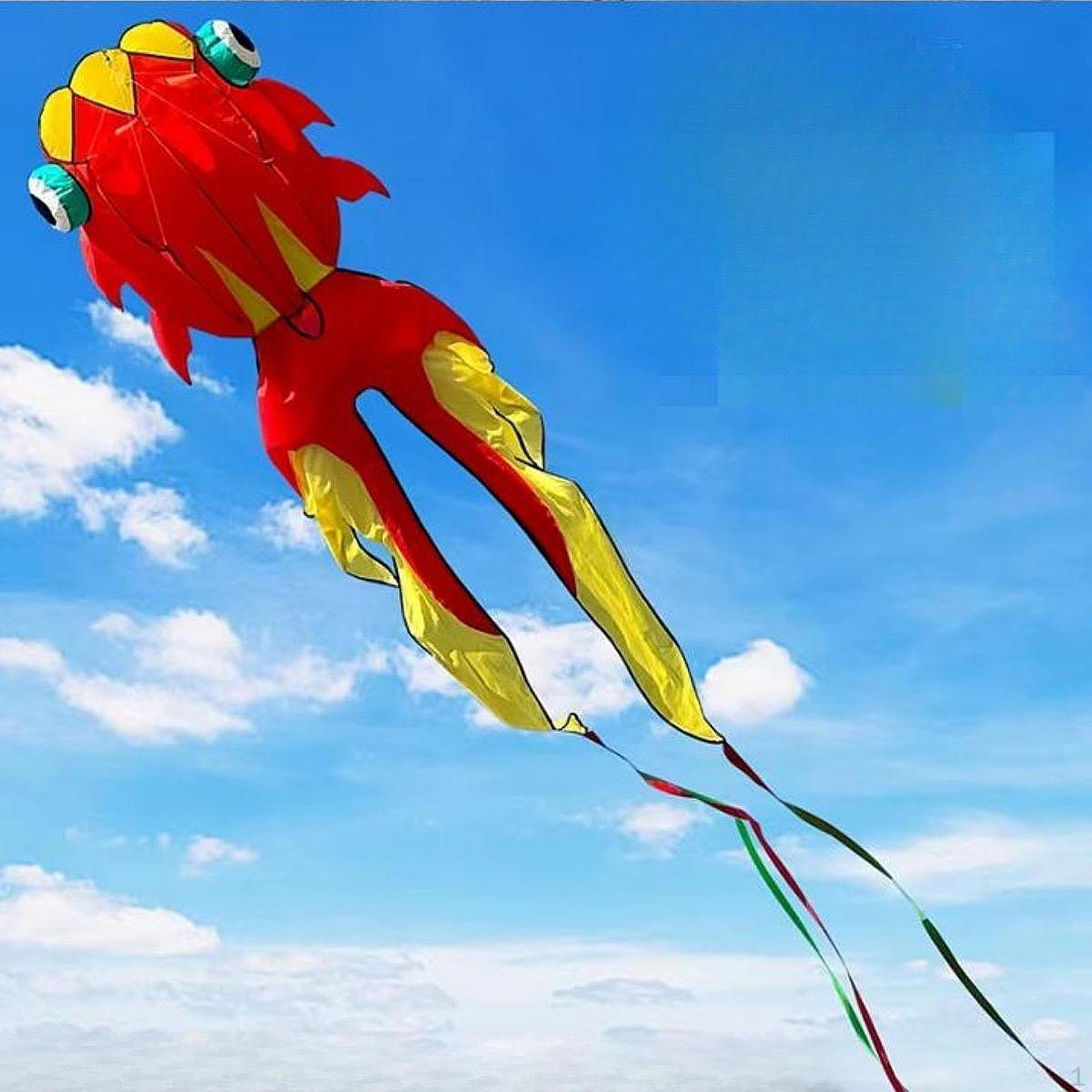 

3D Воздушный змей для активного отдыха Новинка Карп Ветер Огромный размер Муха для пляжа и двора красный