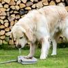 Outdoor Dog Water Fountain Dog Drinking Fountain Toy Step On Water Feeder Solid Coated Metal Pet Sprinkler Pet Supplies