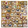 Butterfly Cartoon PET Waterproof Stickers for Journals, Bottles, Phones, and Computers