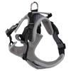 Pet Harness Adjustable Breathable Mesh Explosion Proof Pet Vest Harness for Outdoor Activity Night Walking Grey