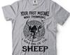 Viking Warrior T-Shirt: Skull Helmet Patriotic Tee