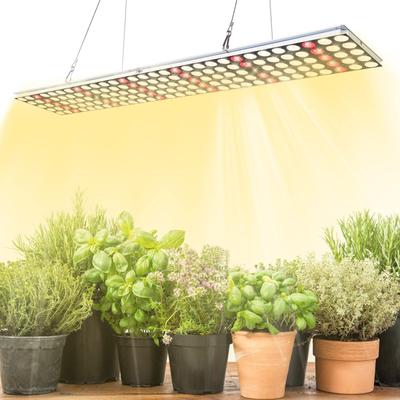 Professionell Belysning – Jordbrukslampor