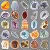 50 Fossil Graffiti Stickers Personalized Creative Ammonite Amber Jurassic Decorative Suitcase Skateboard Stickers