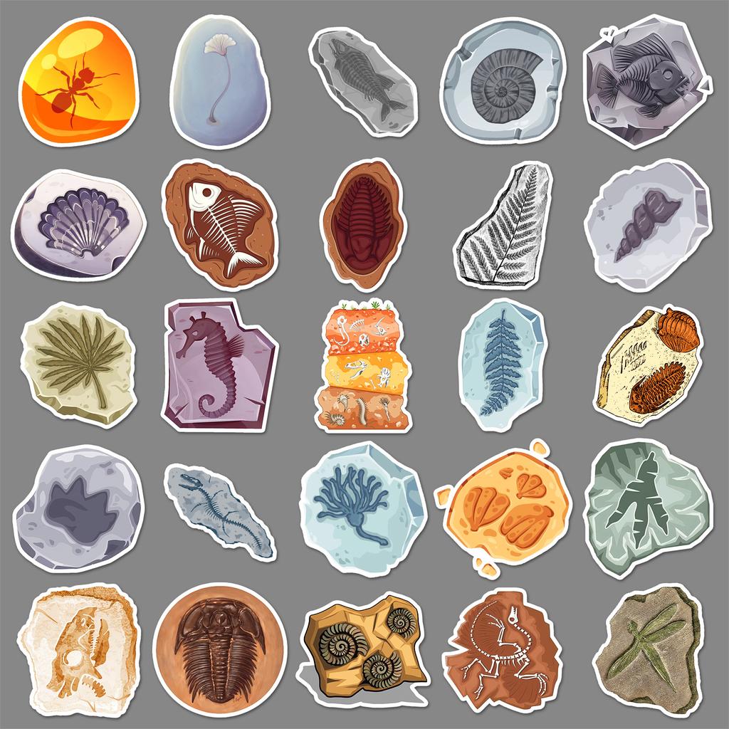 50 Fossil Graffiti Stickers Personalized Creative Ammonite Amber Jurassic Decorative Suitcase Skateboard Stickers