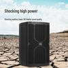 Runpu Professional Dual 10-inch Passive Conference Speaker (CN version)