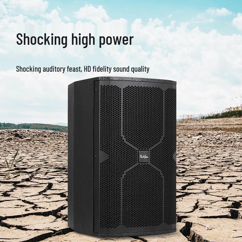 Runpu Professional Dual 10-inch Passive Conference Speaker (CN version)