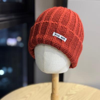 Korean Style Woolen Hat for Men and Women In Autumn and Winter New Warm Style Small Face Ear Protection Versatile Dopamine Color Patch Knitted Hat