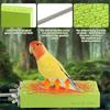 Vogelheizung für Käfig, Warmer Vogelständer mit kleinem Nest, 12V 5W Heizständer für Papageien, Nymphensittiche, Wellensittiche US-Stecker