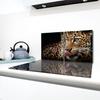 2x GLASS PROTECTIVE PLATE FOR STOVE 40x52 TIGER