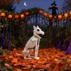 Halloween Skeleton Animal Decoration,/Dog/Bird/Rat/ -N-Stay Animal Skeletons,Plastic Bones Indoor Outdoor Decor Party Favors Graveyard Decorations