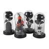 Preserved Black Roses in Glass Dome Halloween Light-up Eternal Flower in Cloche with Skull Pumpkin Statue for Home Kitchen Mantel Tabletop Decor