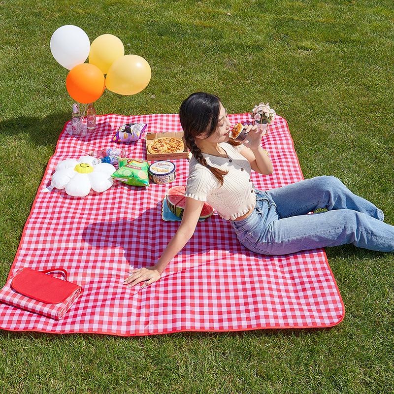 Thickened Waterproof Picnic Pad Friends Gathering Moisture Proof Floor Mat Outdoor Camping Beach Grassland Activity Mat Handheld for Easy Carrying