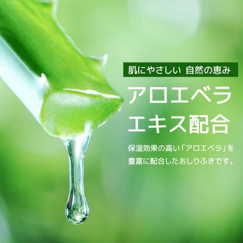 Wet Wipes for Adults, 90 Sheets, Thin, Large Size, Non-Flushable, WS5105