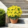 Buchet 5 Tije Flori Impatiens Artificiale Rezistente la UV pentru Exterior Flori Faux Mătase pentru Porți Exterioare Grădină Ghiveci Decorativ