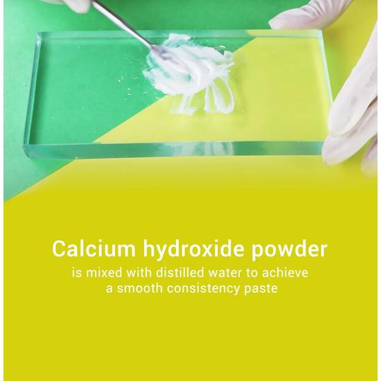 Waldent Calcium Hydroxide Powder