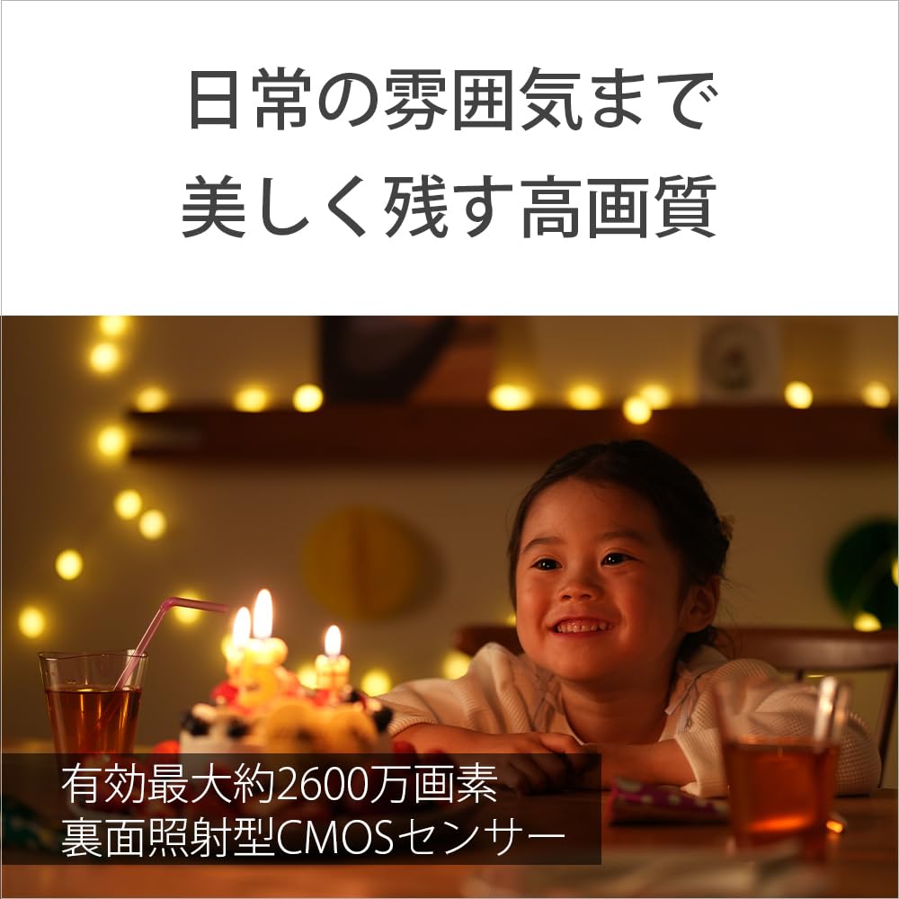 Sony Mirrorless Camera with Interchangeable Power Zoom Lens Kit SELP16502 and BQ ZV-E10M2 APS-C Lens, (Includes Lens), Windscreen, Black, ZV-E10M2K