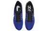 Nike Air Zoom Pegasus 39 Racer Blue DH4071-400
