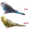 Simulation Mini Parrot Cute Bird Figurine Animal Home Decoration Miniature Garden Decoration
