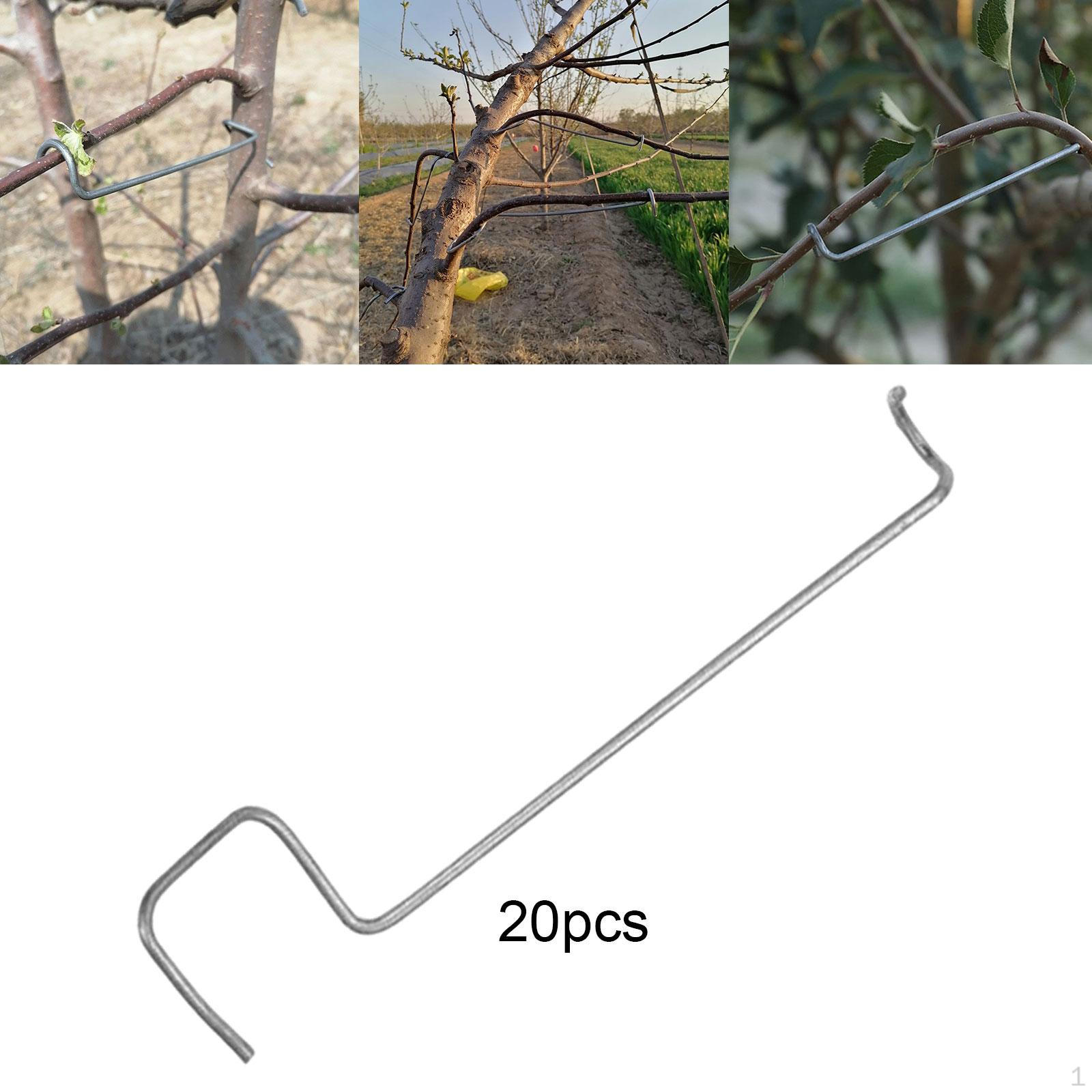

Стальная проволока для фруктов 6cm