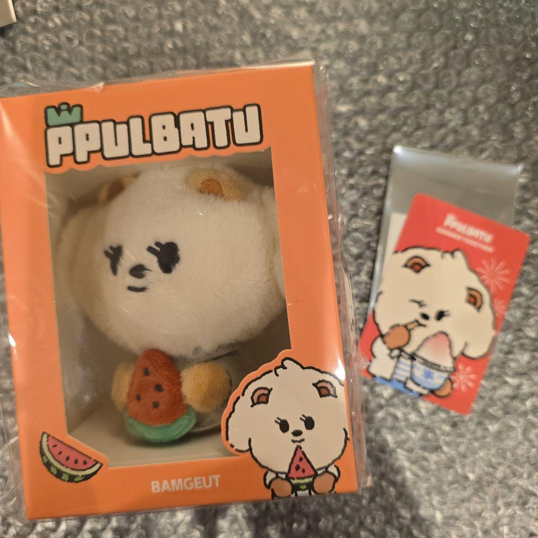 

[USED] TXT Bam Gyu Key Ring Keychain Purbat