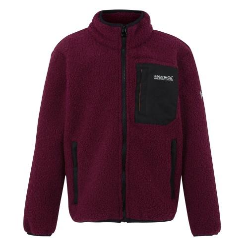 Regatta Childrens/Kids Frankie Full Zip Fleece Jacket