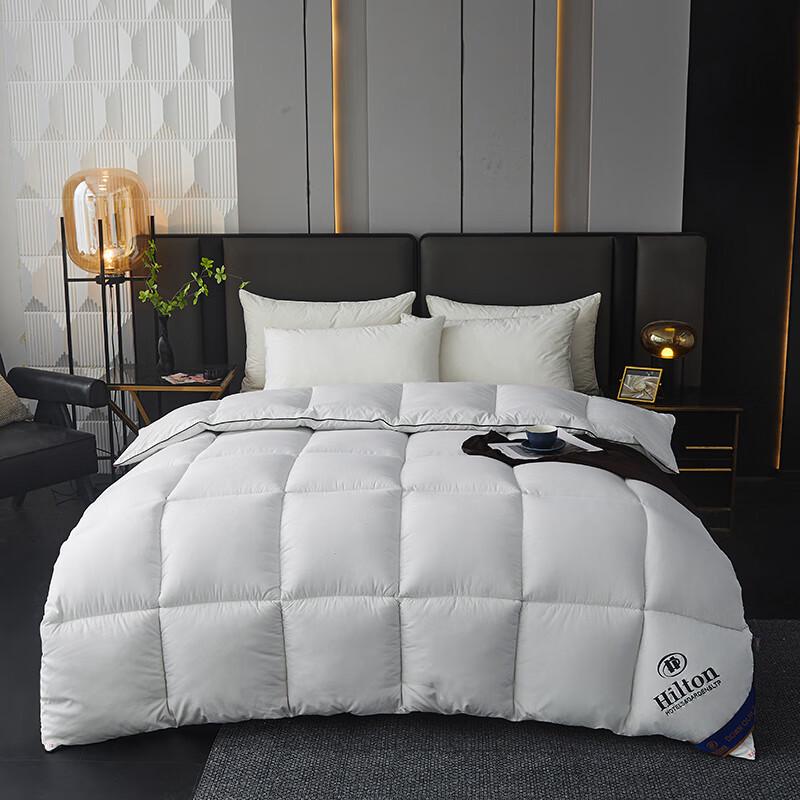 

Manya House Hilton Feather Velvet Winter Comforter