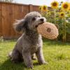Plush Squeaky Dog Toy with Short Mop Velvet Interactive Stuffed Toy for Small Medium Large Breeds Cute Animal Soft Dog