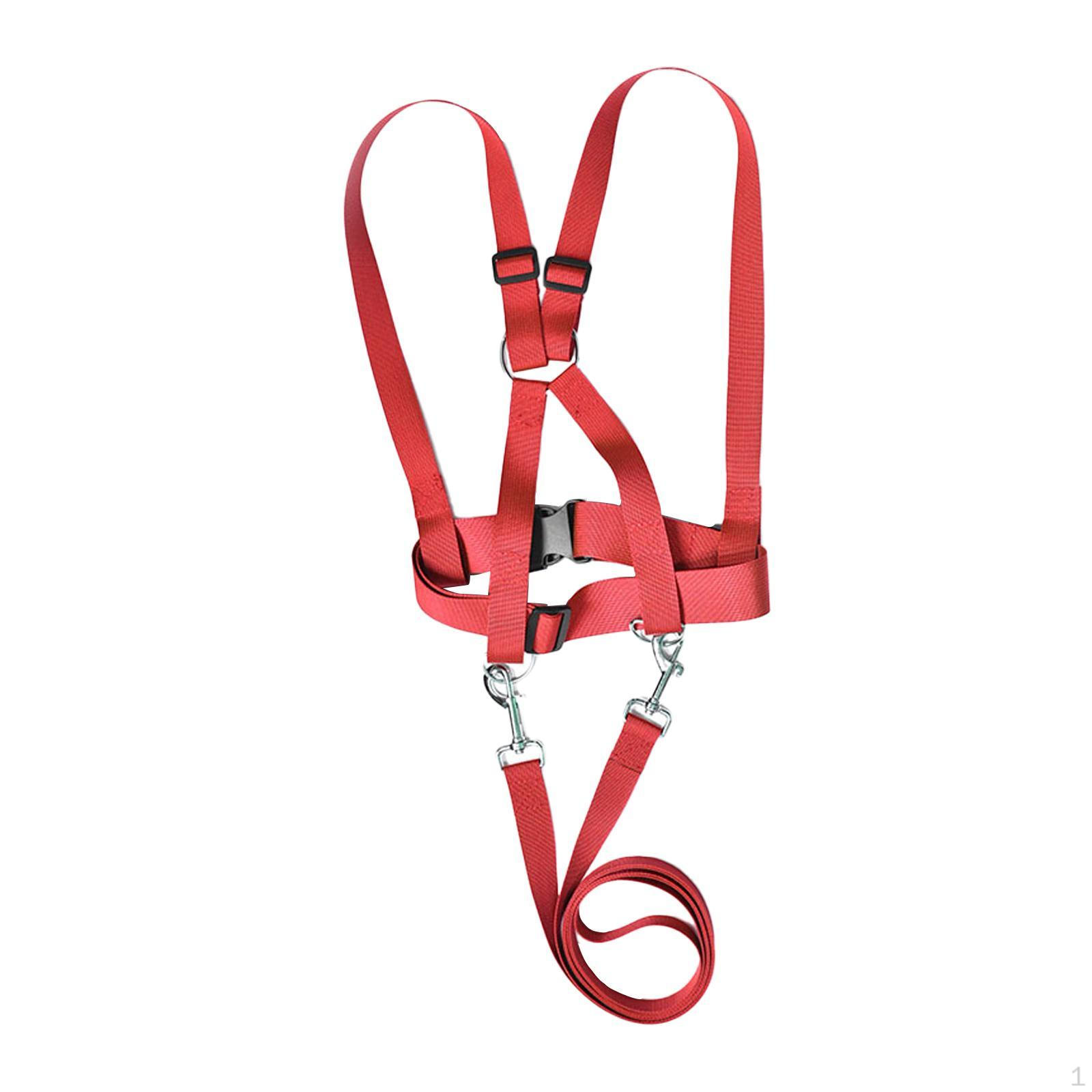 

Ремни безопасности для детей на открытом воздухе