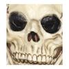 Smiffys Unisex Adult Skull Latex Mask