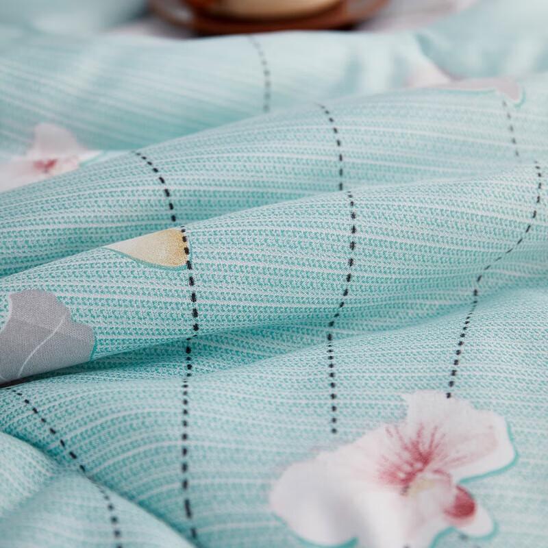 Beigeman Warm Cotton Anti-mite Quilt