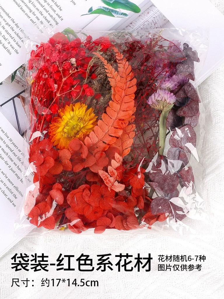 1 Bag DIY Natural Plants Dried Starry Sky Flowers Preserved Materials Kit Epoxy Resin Candles Soap Floral Materials Set Flowers